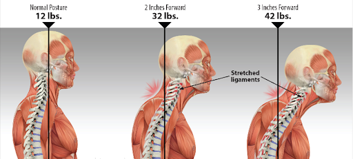 ergonomic principles